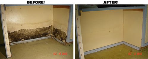 1-3 — junk removal project photo