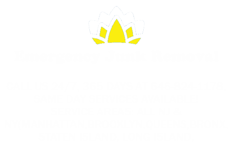 emergencyjunk911.digitalintelligencesociety.com